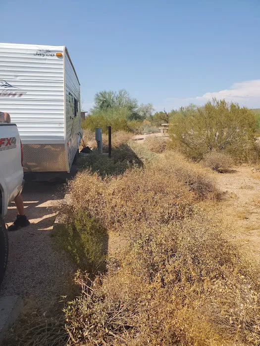 Usery Park Campground Picture 5
