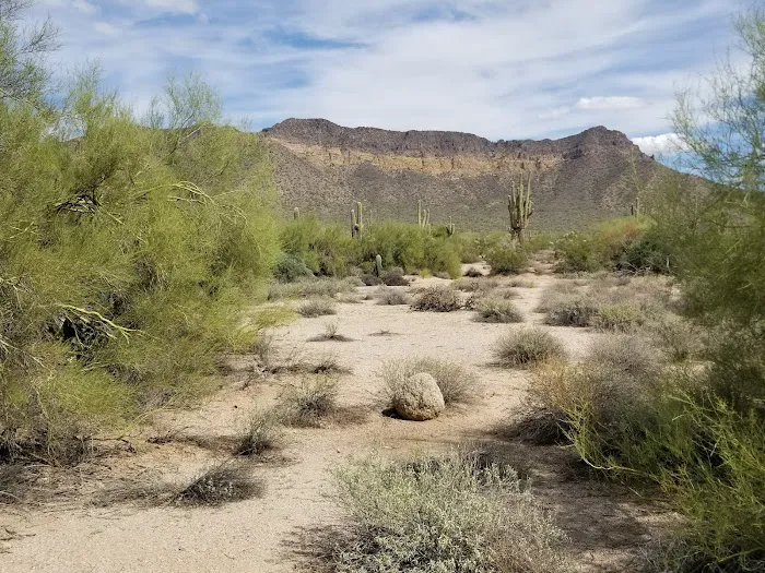 Group Campground A Picture 2
