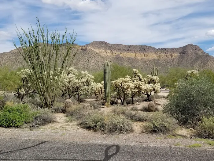 Group Campground A Picture 3