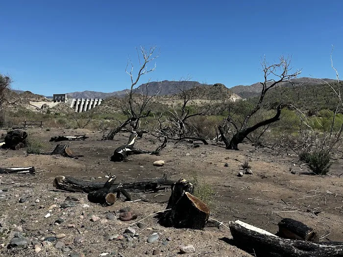 Riverside Campground Picture 2