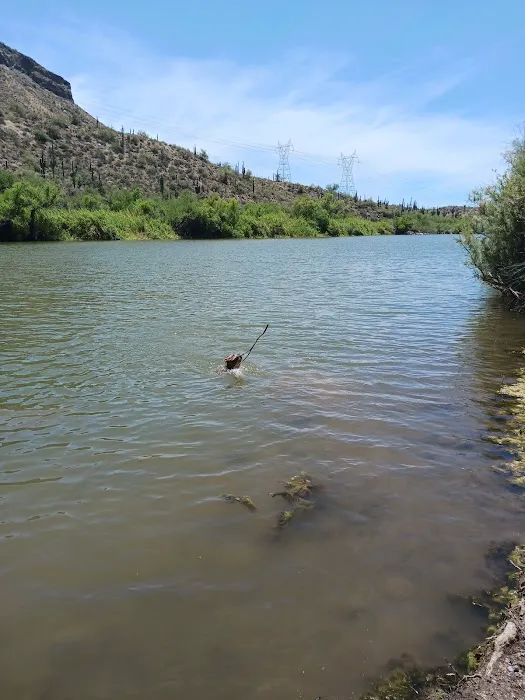 Riverside Campground Picture 1