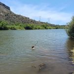 Riverside Campground