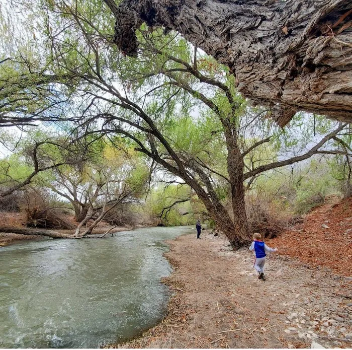 Riverside Campground Picture 4