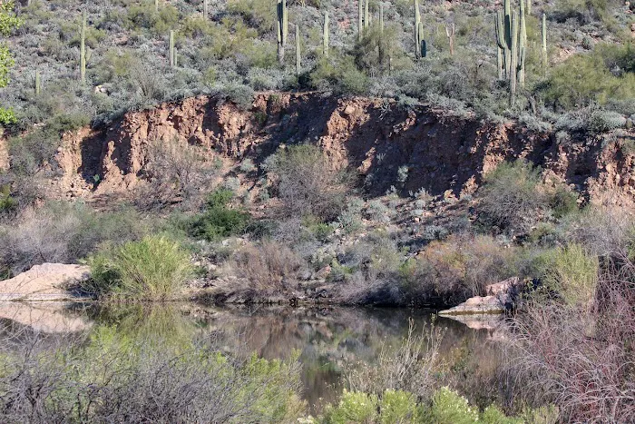 Riverside Campground Picture 8