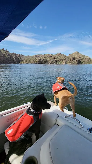 Bagley Flat Recreation Area (Boat Access Only) Picture 4