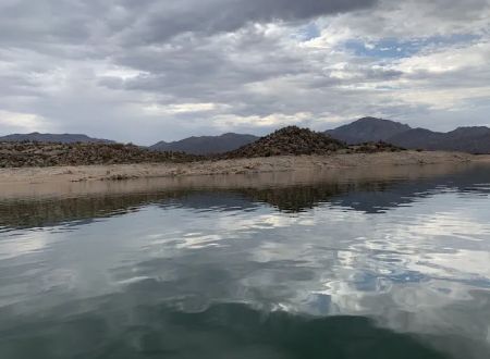 SB Cove