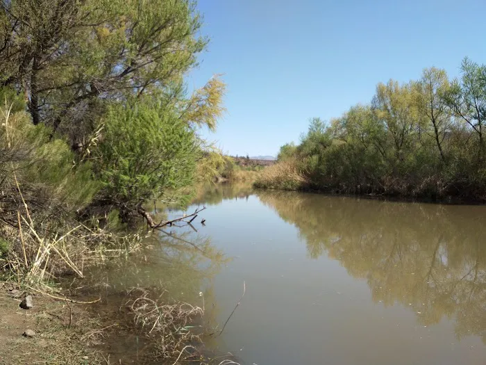 Mesquite Recreation Area Picture 3