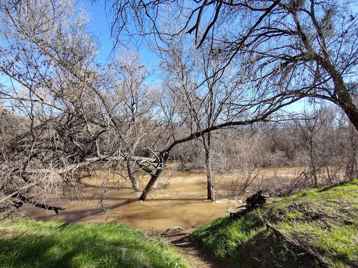 Mesquite Recreation Area Picture 2