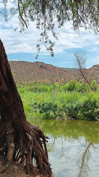Mesquite Recreation Area Picture 5