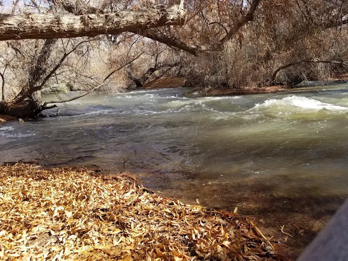 Mesquite Recreation Area Picture 8