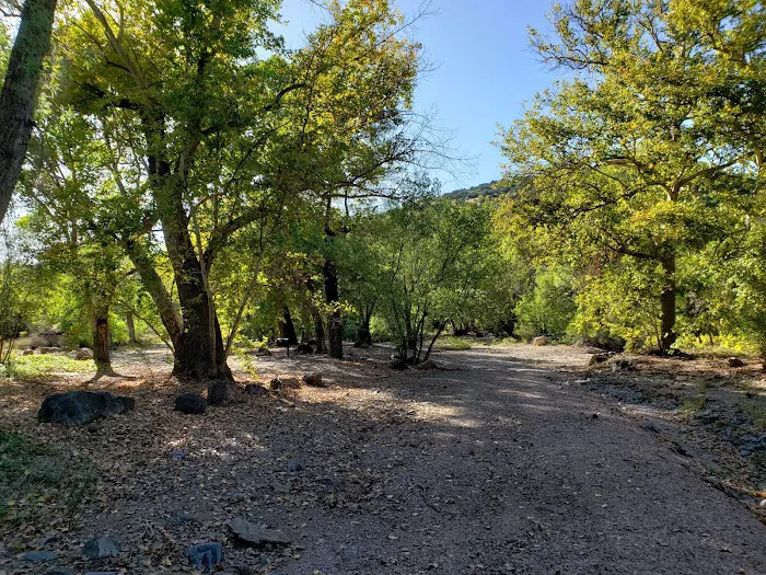 Civilian Conservation Corps Campground Picture 3