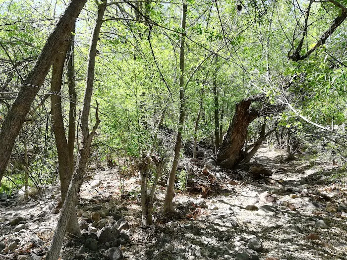 Civilian Conservation Corps Campground Picture 7