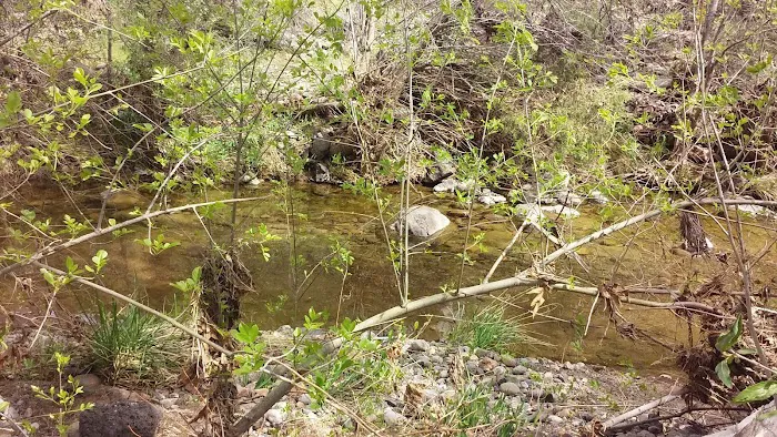 Civilian Conservation Corps Campground Picture 9