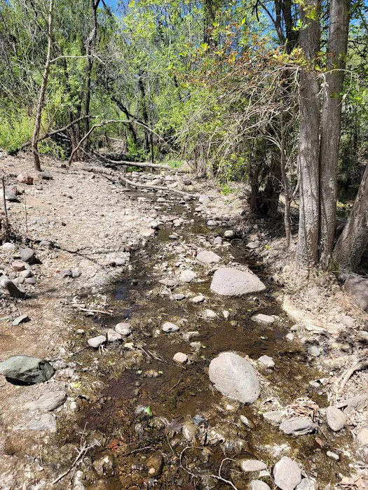 Cave Creek Group Campground Picture 1