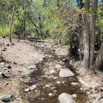 Cave Creek Group Campground
