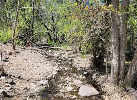 Cave Creek Group Campground