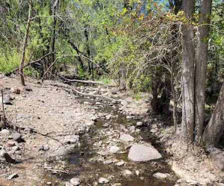 Cave Creek Group Campground