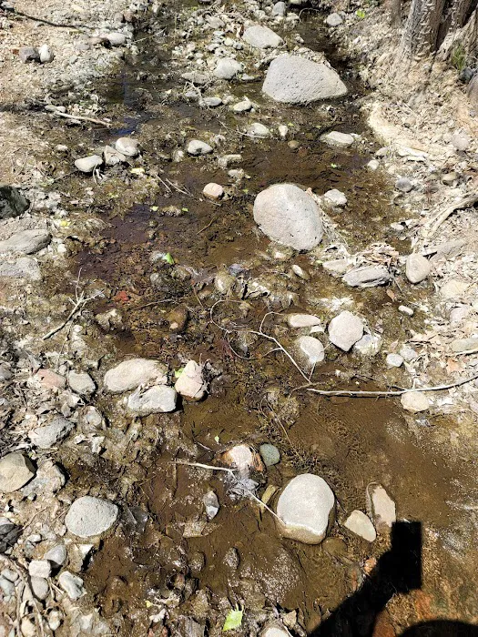 Cave Creek Group Campground Picture 7