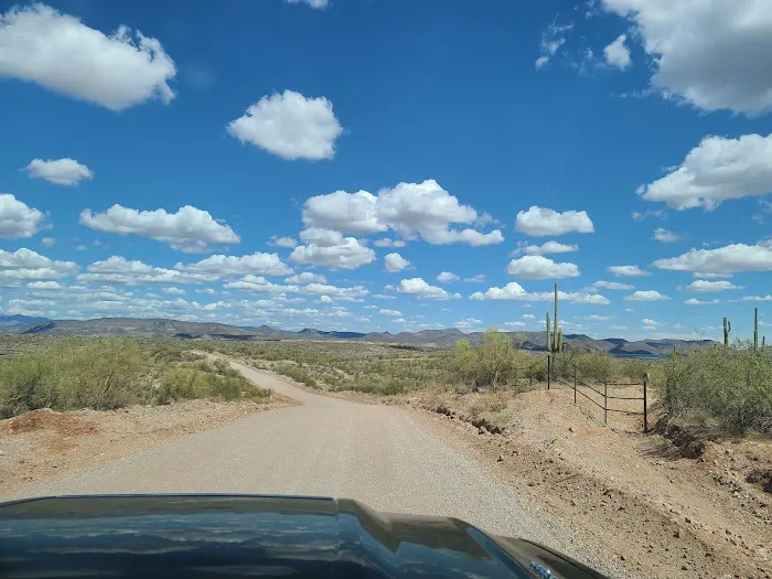 Camp Spot (BLM) Picture 1