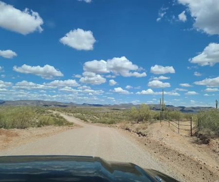 Camp Spot (BLM)