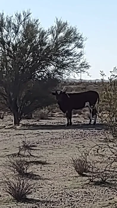 Wreck.it.Ranch Picture 5