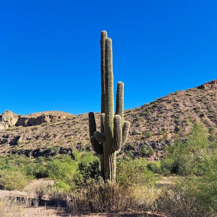 Tortilla Recreation Site Picture 5