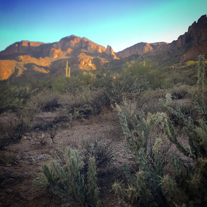 Tortilla Recreation Site Picture 3
