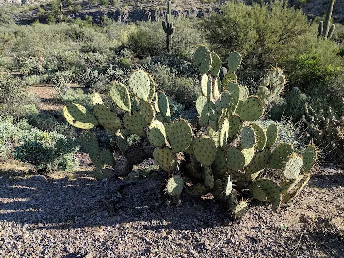 Tortilla Recreation Site Picture 9