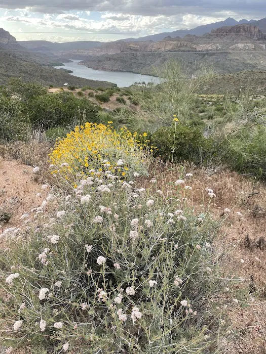 Apache Lake Vista Picture 7