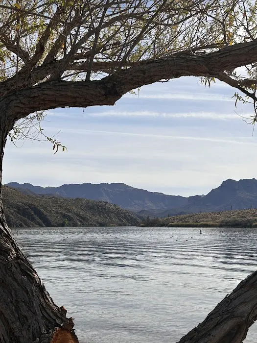 Burnt Corral Campground Picture 6