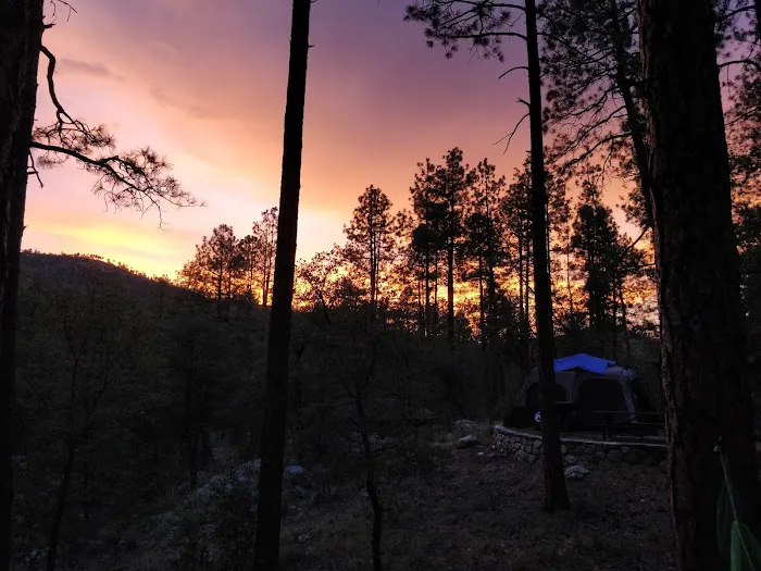 Hazlett Hollow Campground Picture 2