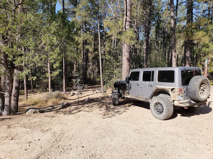 Turney Gulch Group Campground Picture 3