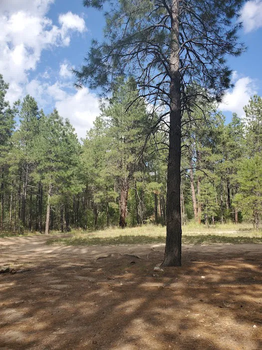 Turney Gulch Group Campground Picture 7