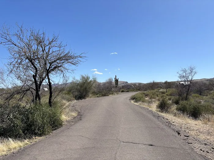 Cholla Campground Picture 3