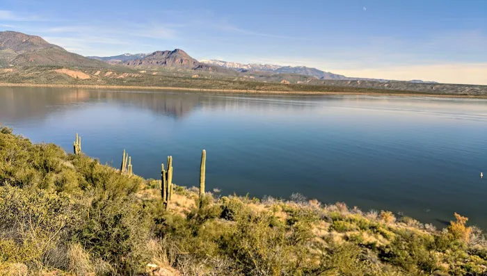 Cholla Campground Picture 2