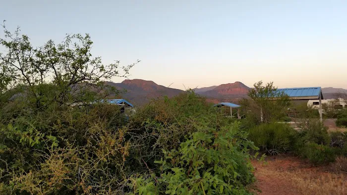 Cholla Campground Picture 9