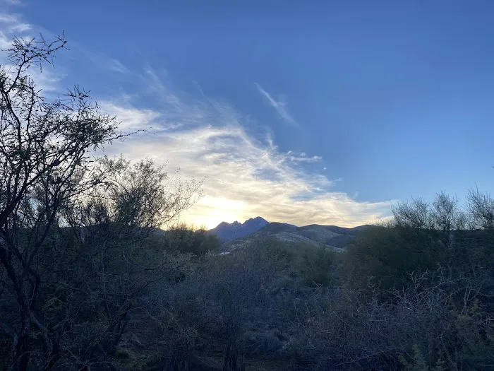 Cholla Campground Picture 10