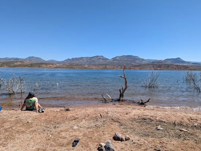 Roosevelt Lake Beach Picture 3