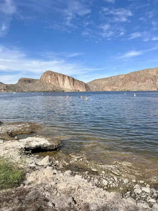 Roosevelt Lake Beach Picture 7