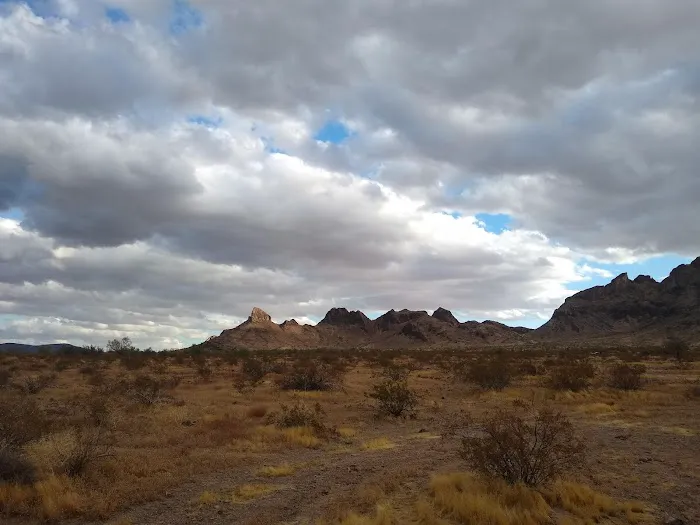 Saddle Mountain BLM Dispersed Camping Picture 1