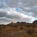Saddle Mountain BLM Dispersed Camping