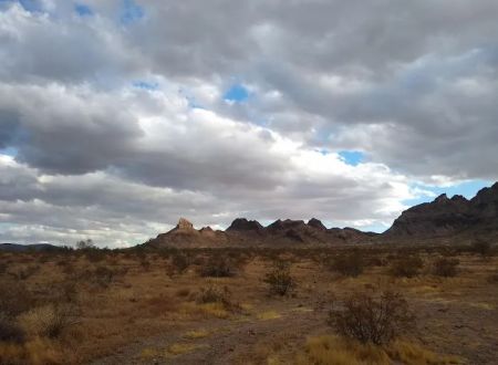 Saddle Mountain BLM Dispersed Camping