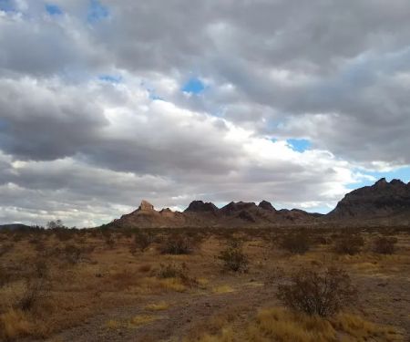 Saddle Mountain BLM Dispersed Camping