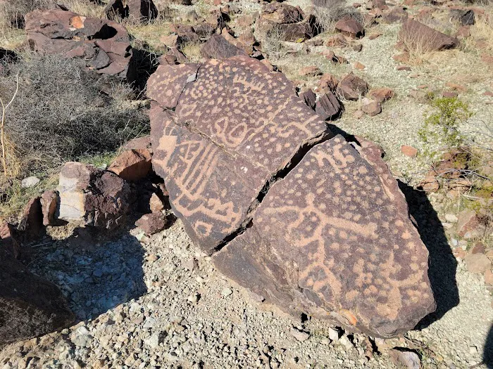 Saddle Mountain BLM Dispersed Camping Picture 7