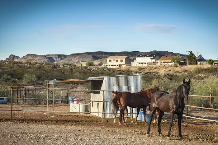Box 8 Ranch Picture 5