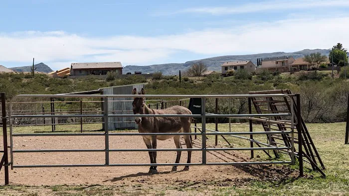 Box 8 Ranch Picture 6