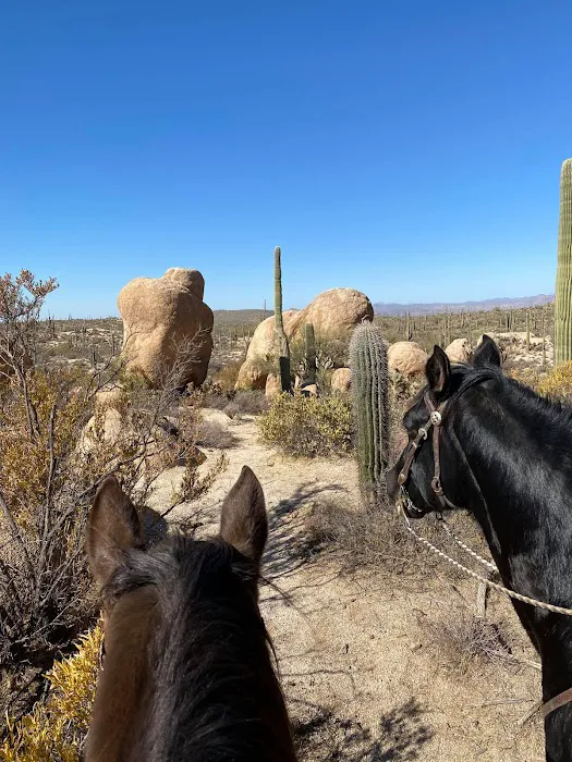 Ride Out Ranch Picture 2