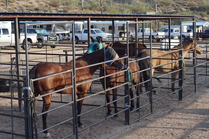 Ride Out Ranch Picture 5