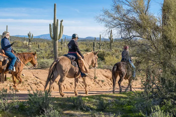 Ride Out Ranch Picture 4