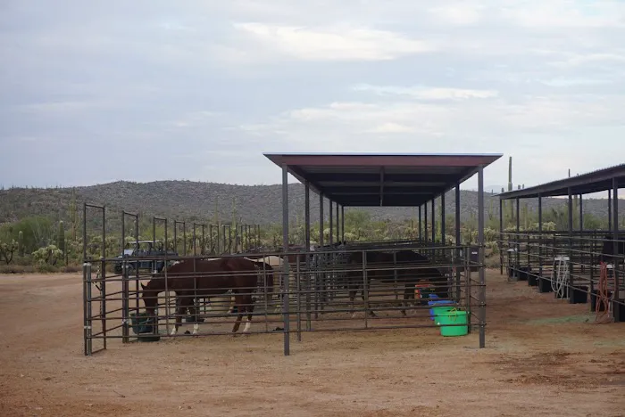 Ride Out Ranch Picture 6